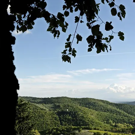 Sofia * Gaiole in Chianti